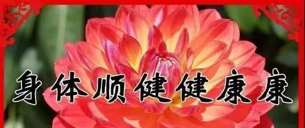 花开平安（以花为媒，传递健康）