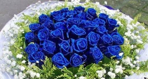 33朵玫瑰花的花语（用33朵玫瑰表达爱情的美好祝福）