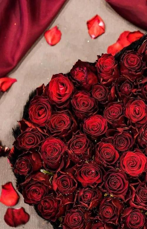 三朵玫瑰的花语之爱情的绽放（从玫瑰花语解读爱情的不同阶段）