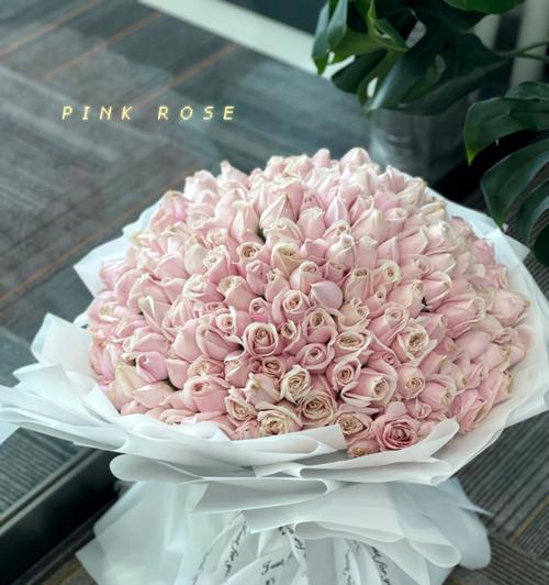粉玫瑰（花语解读与文化意蕴）