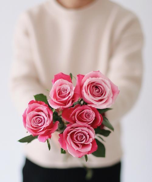 粉色玫瑰花语的美丽意涵（用玫瑰花语传递情感与祝福）