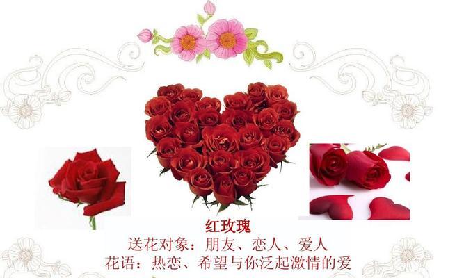 红色的玫瑰花花语——爱情的告白（传递爱意的红色玫瑰）