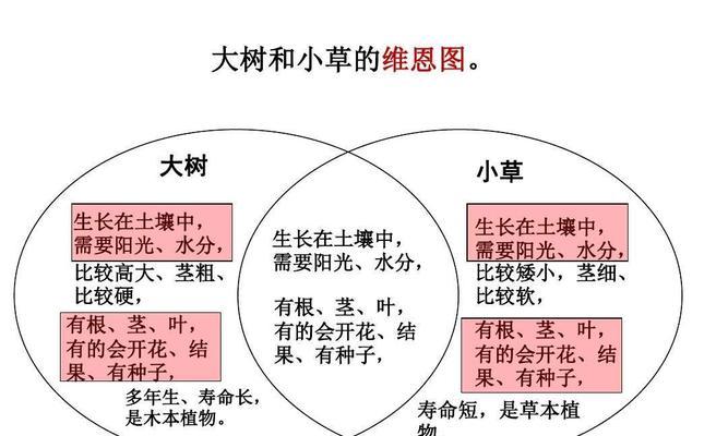 如何正确摘心打顶朝天椒（时间）