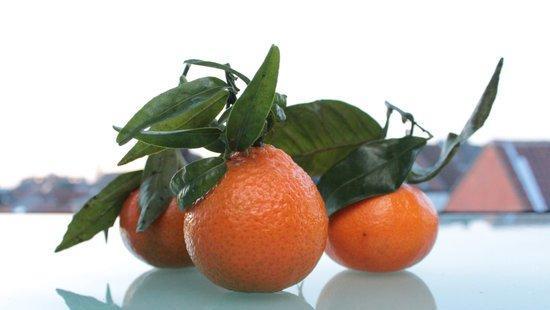 橙子的象征意义（探寻橙子在文化中的隐含意义）