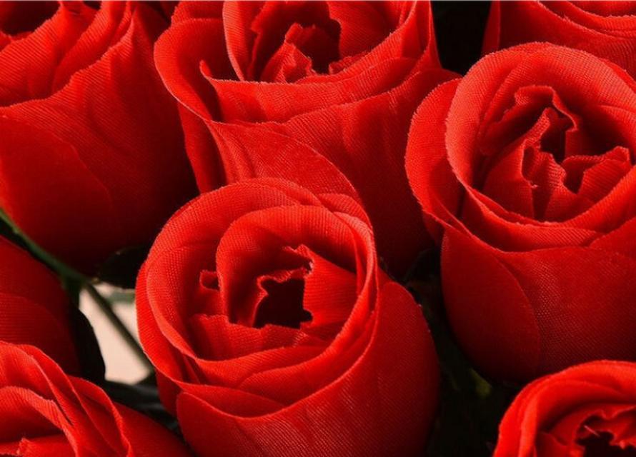 玫瑰花语（解读玫瑰花在不同颜色中传递的情感与意义）