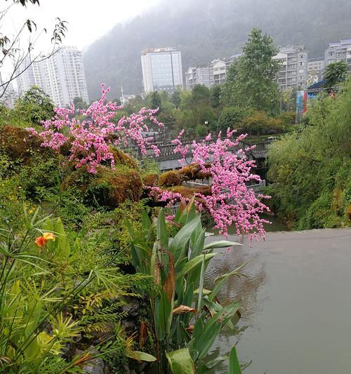 九月桃花刀——探寻传统文化的魅力（一种象征美丽与坚毅的武器）