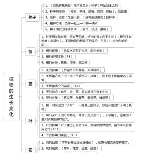 如何成功种植覆盆子（覆盆子种植条件）