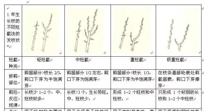 柑桔树的摘心打顶时间与方法（掌握正确时间与方法）