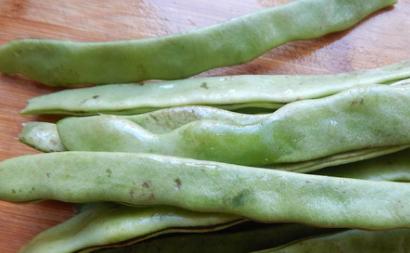 干扁豆种子的营养价值和美食玩法（扁豆种子的多种营养与烹饪方法）