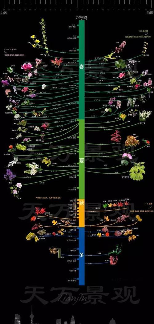 米兰四季浇水秘籍-科学规划你的浇水时间（春夏秋冬）