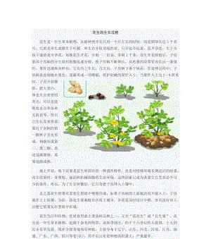 河南花生种植全攻略（花生种植的最佳时间及方法）