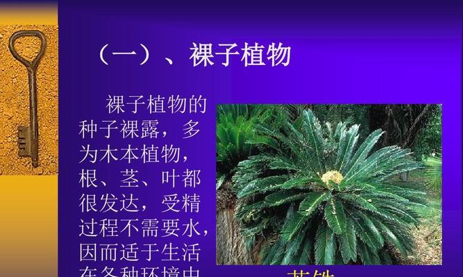 山核桃是裸子植物吗（从形态结构到繁殖方式）