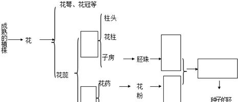 梅花扦插的繁殖方法（注意事项及技巧）