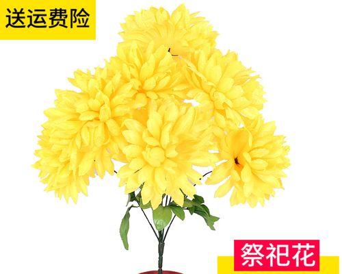 清明节花卉文化之探索（以花象征传统与纪念）