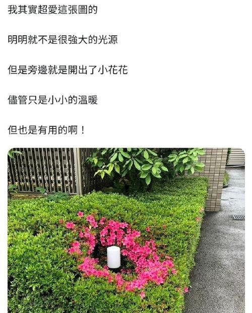 碎纸可以作为肥料吗（探究废纸是否适合做植物肥料）