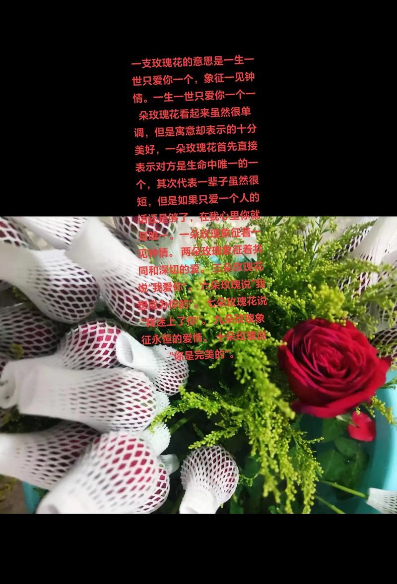 花语传情（以什么花代表永恒的爱情与承诺）