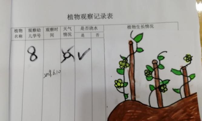 如何有效防止黄瓜苗徒长（黄瓜苗的徒长原因及防治措施）