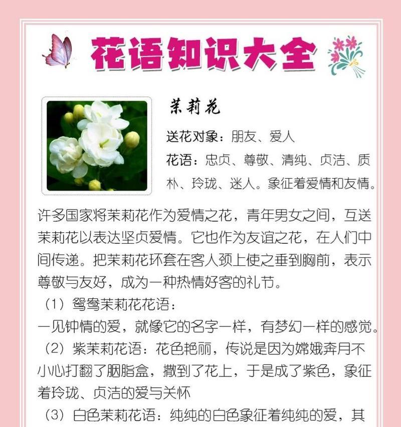 以粉掌的花语（以粉掌花的意义及表达方式）