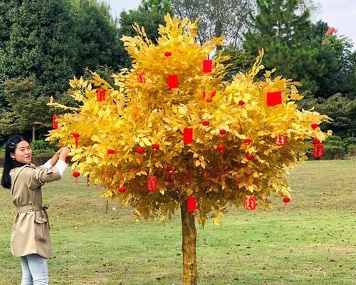 摇钱树的花语与文化象征（富贵）