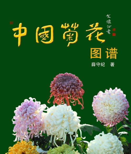 湘潭的市花是什么？菊花的象征意义是什么？