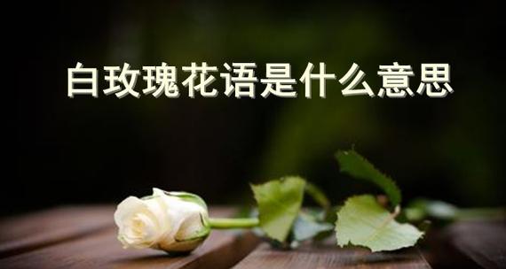 龙眼的花语是什么？龙眼有哪些寓意？