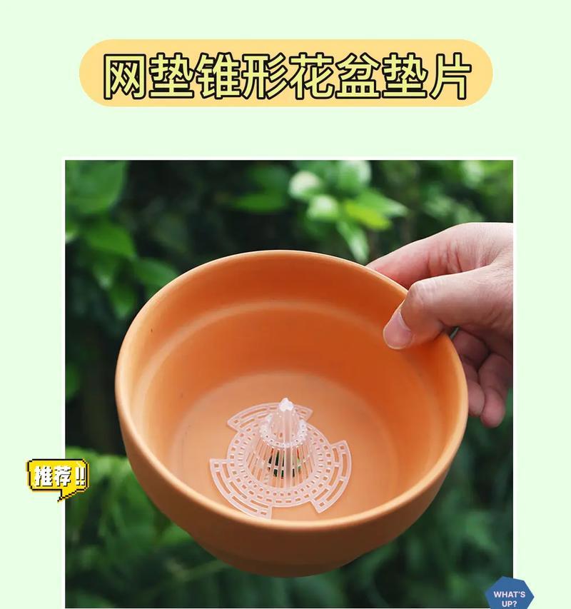 花盆粘接处漏水怎么办？使用哪种材料可以防漏？