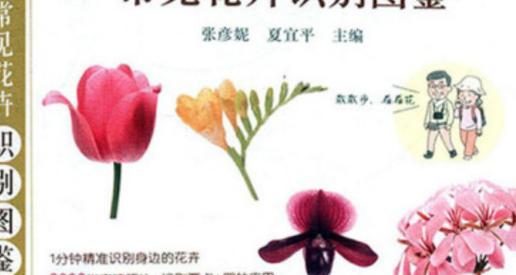 怎样辨别花草品种？花草品种信息从何获取？