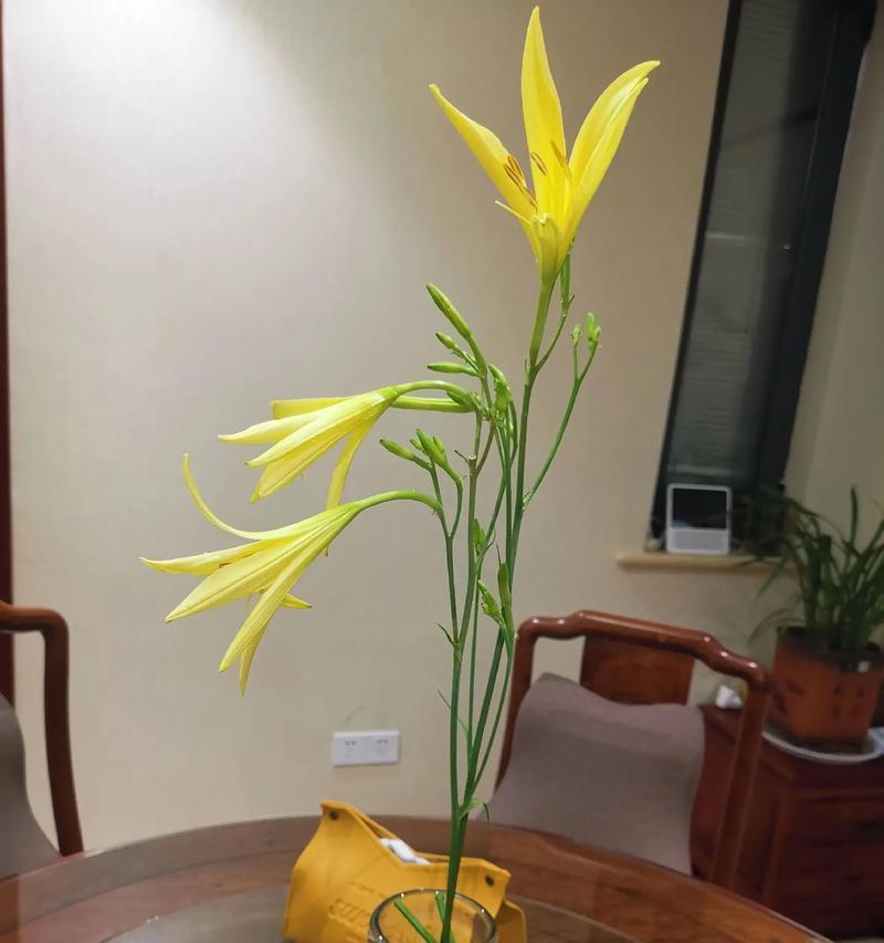 哪种草本植物与百合搭配插花更易存活？养护技巧是什么？