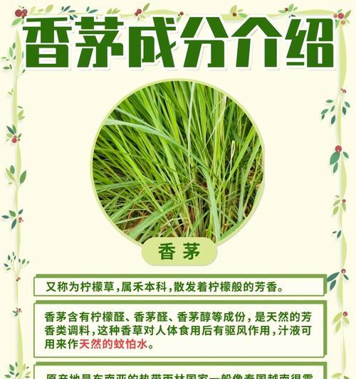 夏天驱蚊花草的作用和功效是什么？