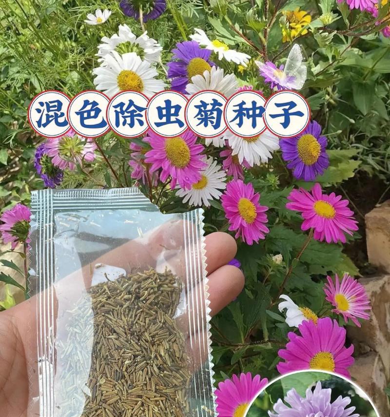 北方防蚊花草种子有哪些选择？这些品种的特性是什么？