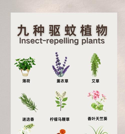 选择哪种花草可以避免蚊虫？