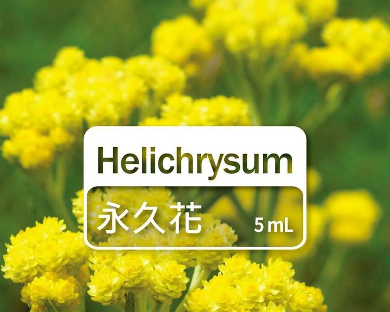 什么花代表复活的花语？了解复活节花卉的含义是什么？