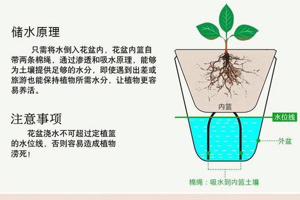 水培花盆白色粉末原因？解决方法有哪些？