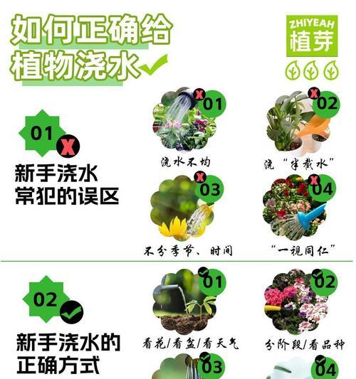 花草浇水属于哪个工种？正确浇水的方法是什么？