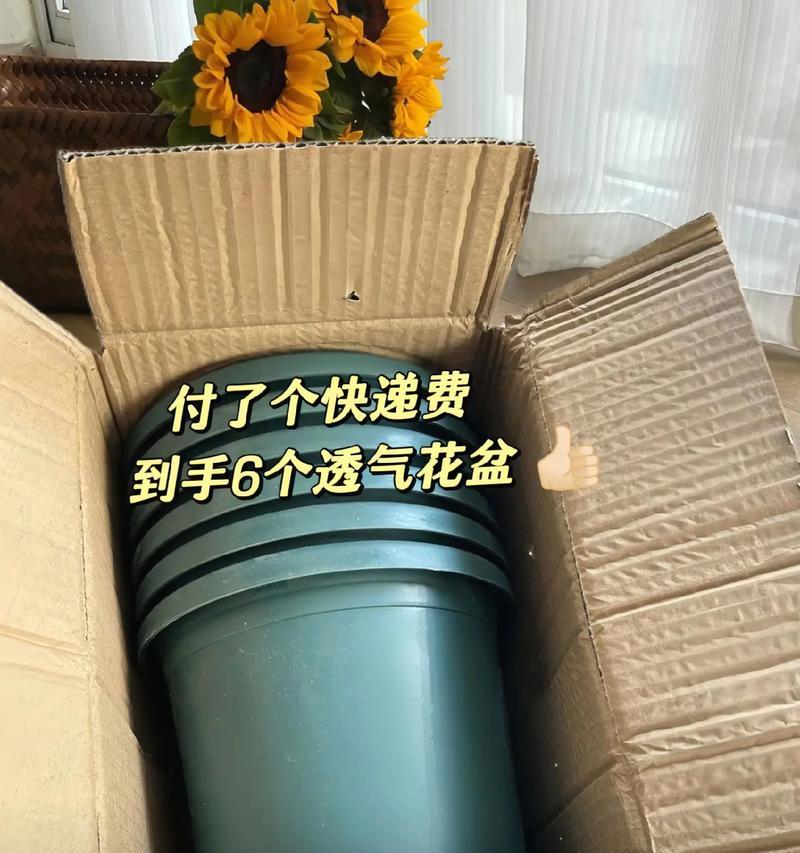 剪制花盆的简单美观方法有哪些？具体步骤是什么？