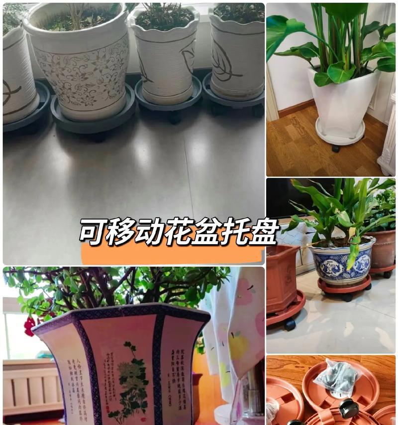 哪种胶水最适合粘合花盆底座？粘合后的持久性如何？