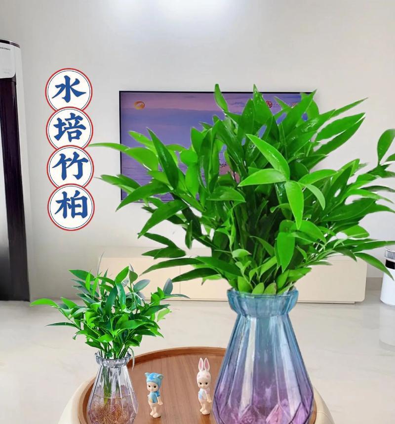 哪些水培植物不易淹死？正确水培方法是什么？