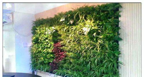 绿色植物墙材料有哪些？选择时应注意什么？