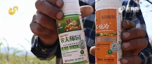 果树用什么肥料好？如何根据季节选择合适的肥料？