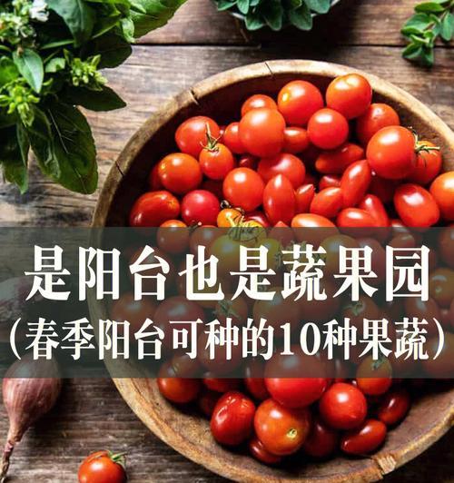 过年后适合种什么蔬菜？有哪些蔬菜种植的最佳时间？