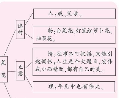 矮牵牛打顶的最佳时间是什么时候？具体操作步骤有哪些？