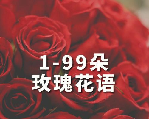 12朵玫瑰代表什么含义？花语背后的爱情寓意是什么？