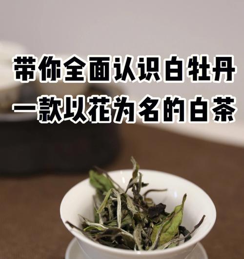 白茶花的花语有哪些含义？