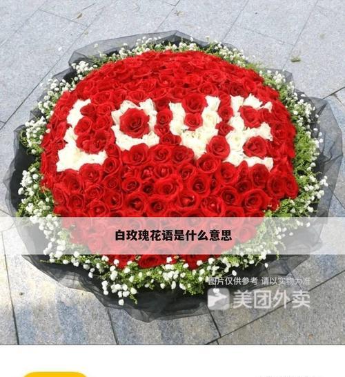 白色的玫瑰花代表什么？花语有哪些含义？