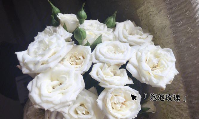 白色玫瑰花花语是什么？送白色玫瑰代表什么含义？