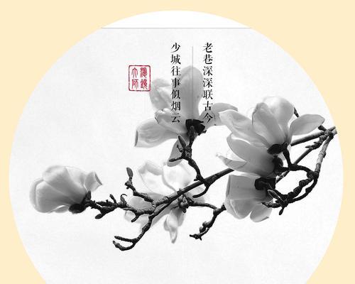 白玉兰花语是什么？如何用白玉兰花表达爱意？