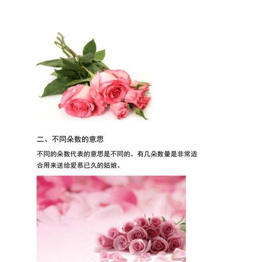 粉色玫瑰代表什么？粉色玫瑰花语有哪些含义？