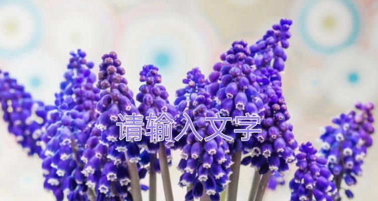 风信子花的花语是什么？如何正确解读风信子的含义？