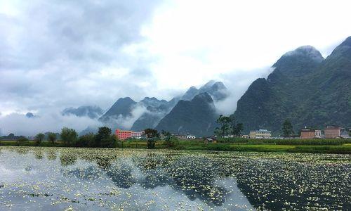 河水浇花是否可行？用河水浇花有哪些营养成分？