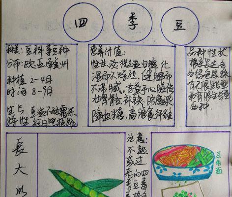 荷兰豆什么时候种植最好？种植方法有哪些常见问题？